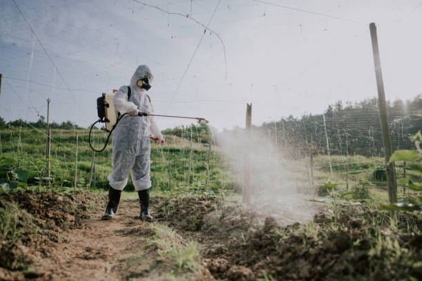 Best Commercial Pest Control Services  in Green Tree, PA