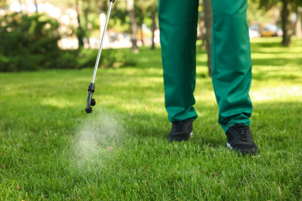 Professional Pest Control in Green Tree, PA