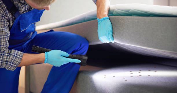 Best Pest Removal Services  in Green Tree, PA