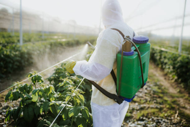 Best Wasp Removal Services  in Green Tree, PA